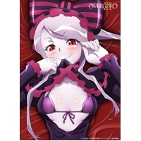 Overlord Shalltear Bloodfallen B2 Fabric Wall Scroll Tapestry
