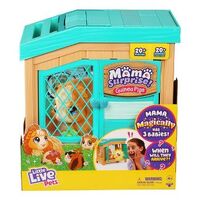 Little Live Pets - Guinea Pigs - Mama Surprise