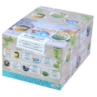 Re-ment Pokemon Terrarium Collection Vol. 12 - Complete Set of 6