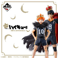 Ichiban Kuji Haikyu ~10th anniversary! ~ Lottery Lucky Chance Ticket ( 1 Ticket = 1 RANDOM Winning Prize! )