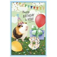 Greeting Cards - Happy Birthday To You - Hamster