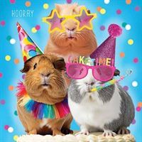 Happy Birthday - Cake Time - Hooray For Bunnies