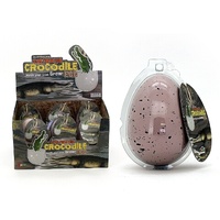 Saltwater Crocodile - Eggs