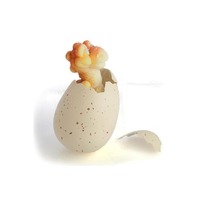 Dinosaur Eggs - Growing Pet - Dinosaur Island