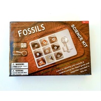 Fossils Science Kit
