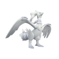 Pokemon Black & White Reshiram Model Kit