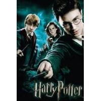 Harry Potter - Micro 150 Piece Puzzle - Wanderers