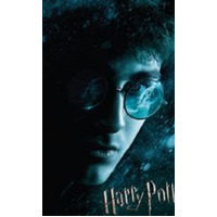 Harry Potter - Micro 150 Piece Puzzle - Harry