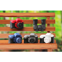 Iwako Erasers (Made in Japan) - Pull Apart Rubbers - Camera & Binoculars - (Sold Separately)