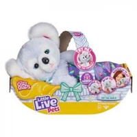 Cozy Dozys - Kip The Koala - Little Live Pets