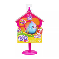 Lil' Bird - Birdhouse - Little Live Pets - Rainbow Tweets