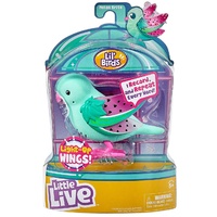 Lil' Birds - Melon Brite