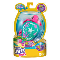 Little Live Pets - Lil' Turtle - Series 8 - Single Pack - Seashore