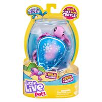 Little Live Pets - Series 7 - Turtle Single Pack - Snowbreeze Turtle