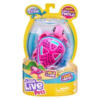 Little Live Pets - Series 7 - Turtle Single Pack - Pippy Drops Turtle