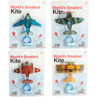 World's Smallest Kite - Plane