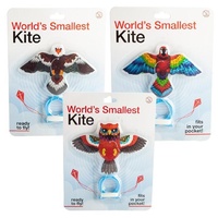 World's Smallest Kite - Birds