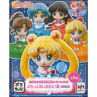 Sailor Moon Petit Chara - Petit Punishment 2020 - Single Blind-Box