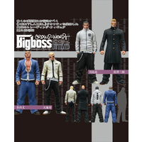 Crows x Worst Coherence of Style Vol. 1 (Sold Separately)