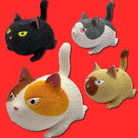 Pinch-Pinch - Angry Cat - Squeeze