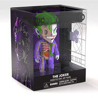 XXRAY - The Joker