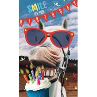 smile - it's your birthday - horse teeth