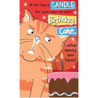 happy birthday - orange cat
