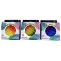 Morph Worm - Rainbow - Fidget Toy - Assortment