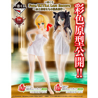 Fate/EXTRA Last Encore - Onsen Hot Spring Holiday - Saber and Rin (Set of 2)