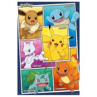 Pokemon - Character Panels -  1000 Piece Jigsaw Puzzle