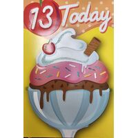 Happy Birthday - 13 Today