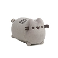 Pusheen - Computer Screen Cleaner