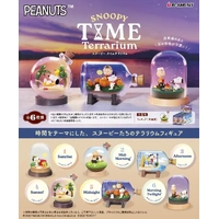 Snoopy Time Terrarium