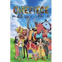 Poster - One Piece - Thousand Sunny - No.9