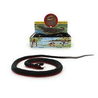Black Snake - Red Belly - 100cm