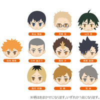 Putitto Badge Haikyu!! To The Top Plush Badge